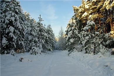 Insomniac：《漫威蜘蛛侠3》将是史诗级